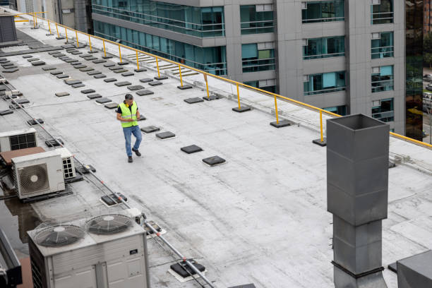 Best Roof Coating and Sealing  in Palmyra, IN