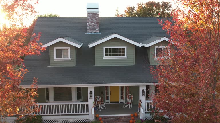 Best Roof Moss and Algae Removal  in Palmyra, IN