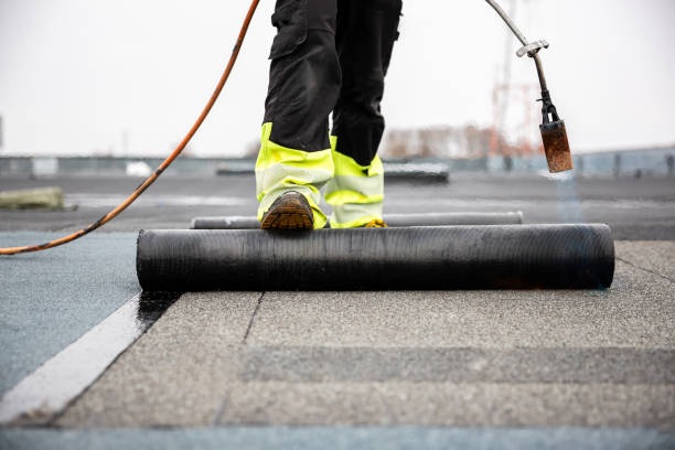 Best Roof Maintenance and Cleaning  in Palmyra, IN
