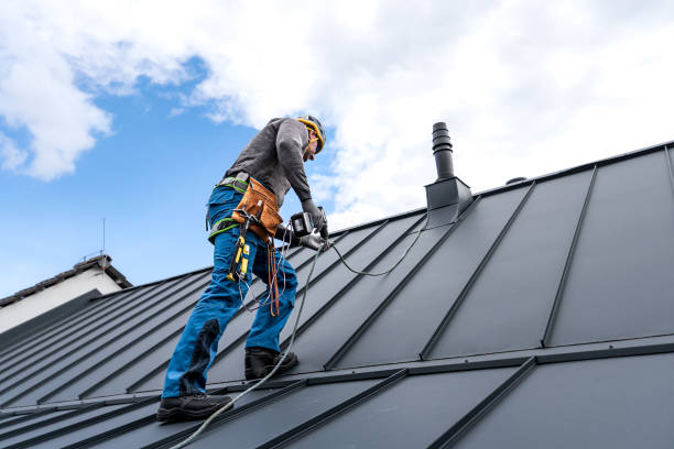Best Asphalt Shingles Roofing  in Palmyra, IN