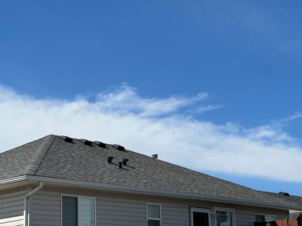 Best Steel Roofing  in Palmyra, IN